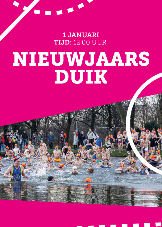 Nieuwjaarsduik